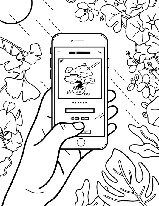 Shopify Coloring Pages